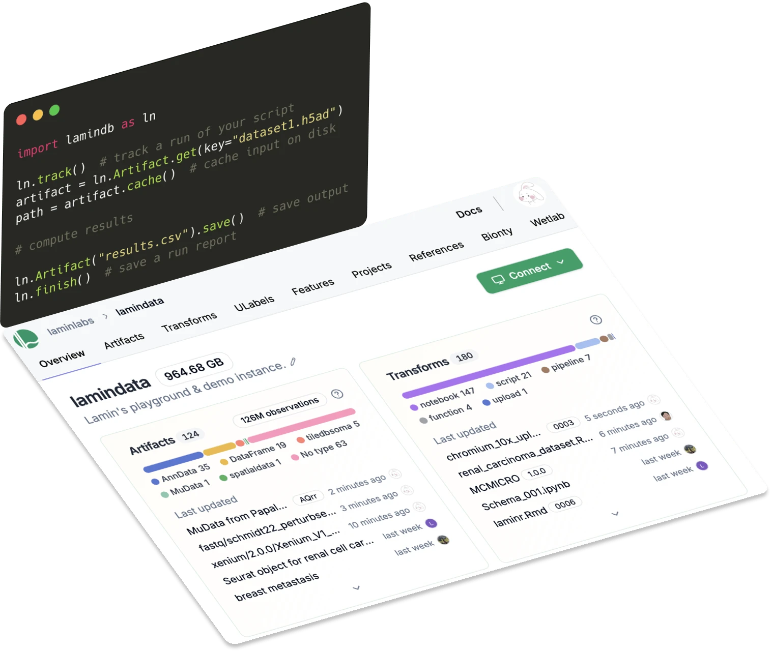 A notebook with a Lamin instance